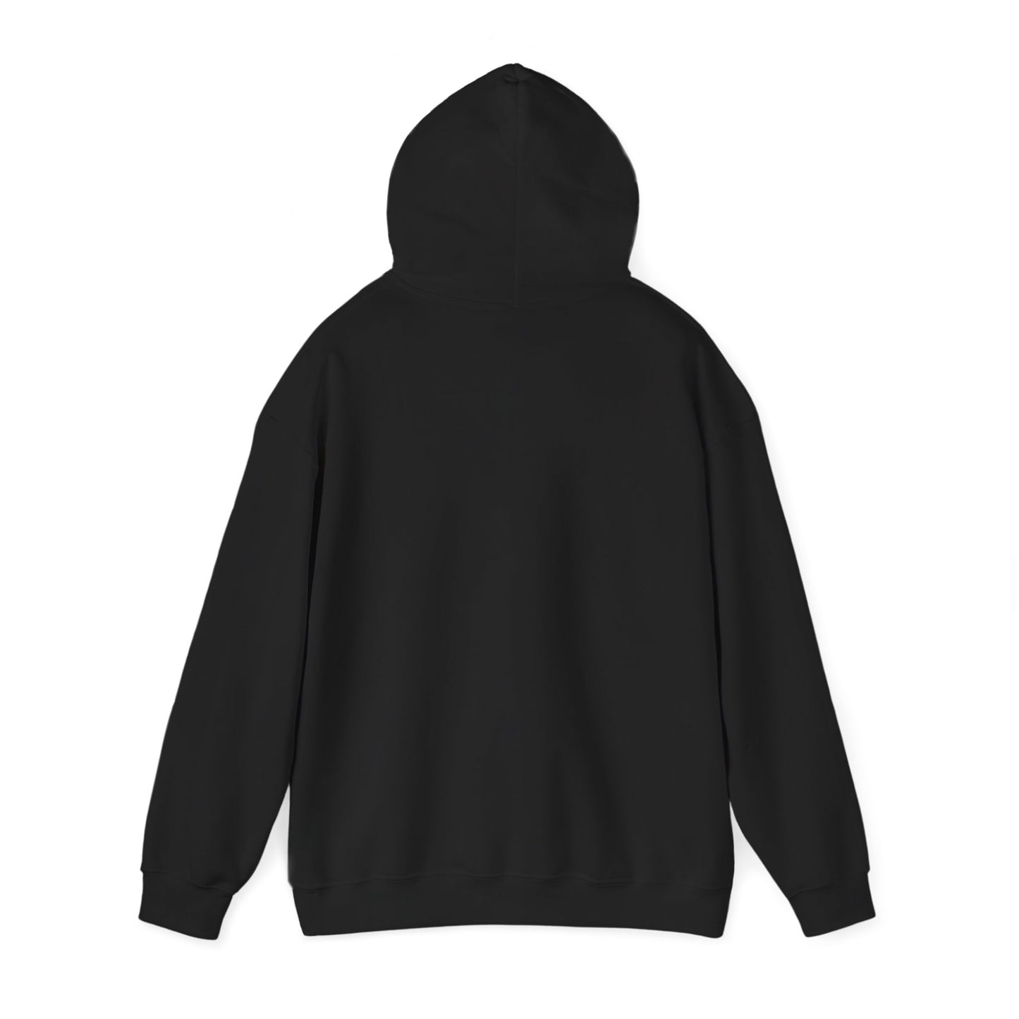 No Lift Motorsports Classic Hoodie
